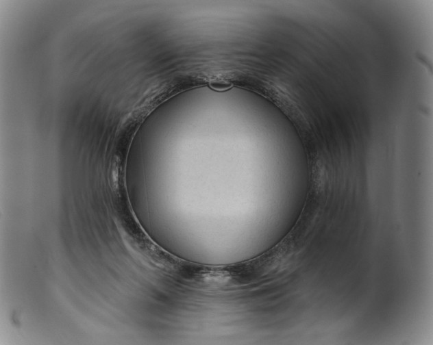 X0000099420214200805231637