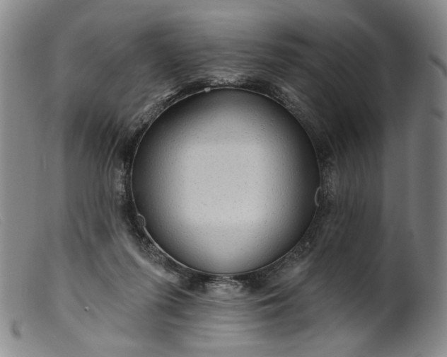 X0000099420215200805231637