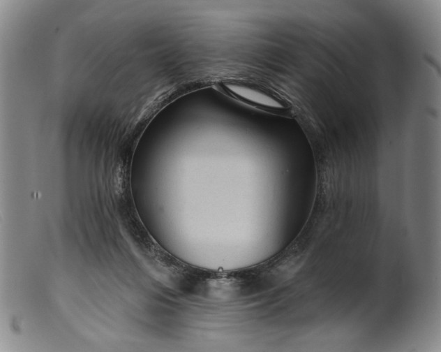 X0000099420216200805231637