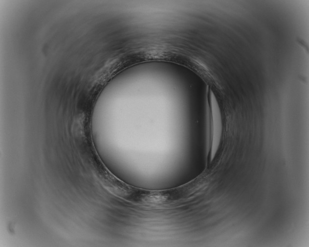 X0000099420217200805231637