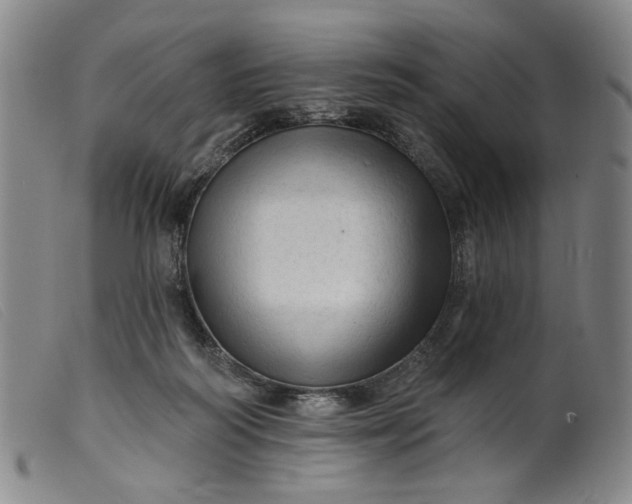 X0000099420218200805231637