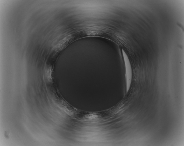 X0000099420219200805231637