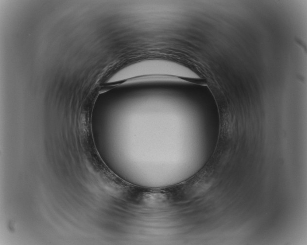 X0000099420220200805231637