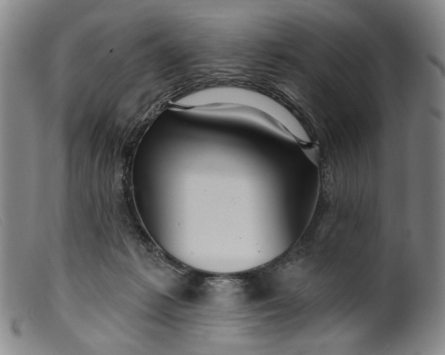 X0000099420221200805231637