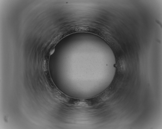 X0000099420224200805231637