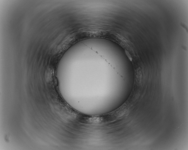 X0000099420225200805231637