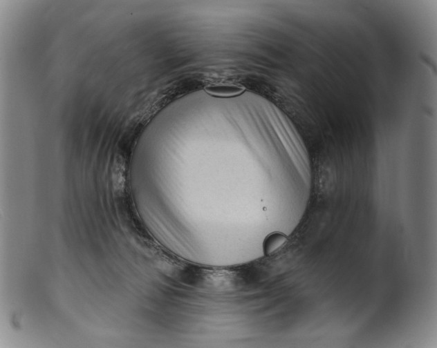 X0000099420226200805231637