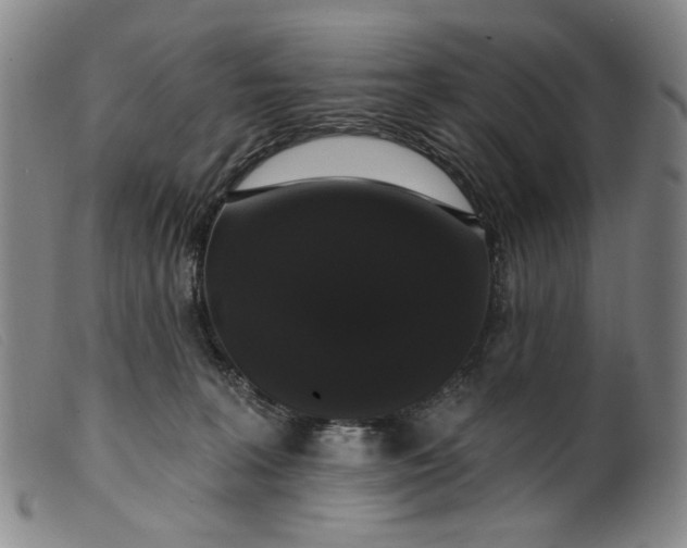X0000099420227200805231637