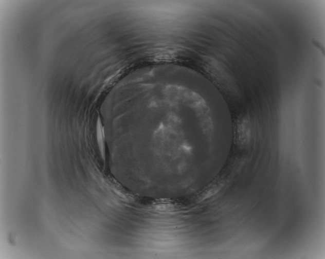 X0000099420228200805231637
