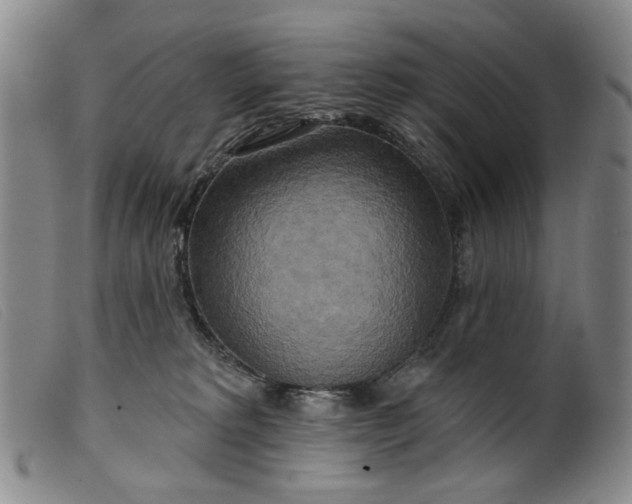 X0000099420229200805231637
