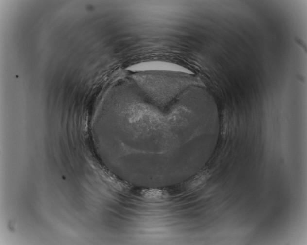 X0000099420230200805231637