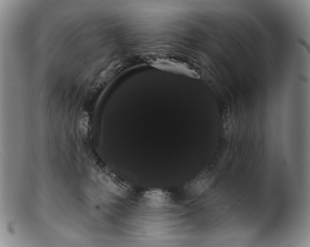 X0000099420231200805231637