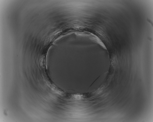 X0000099420233200805231637