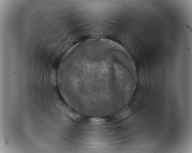 X0000099420234200805231637