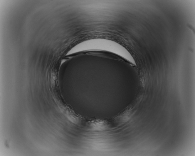 X0000099420235200805231637