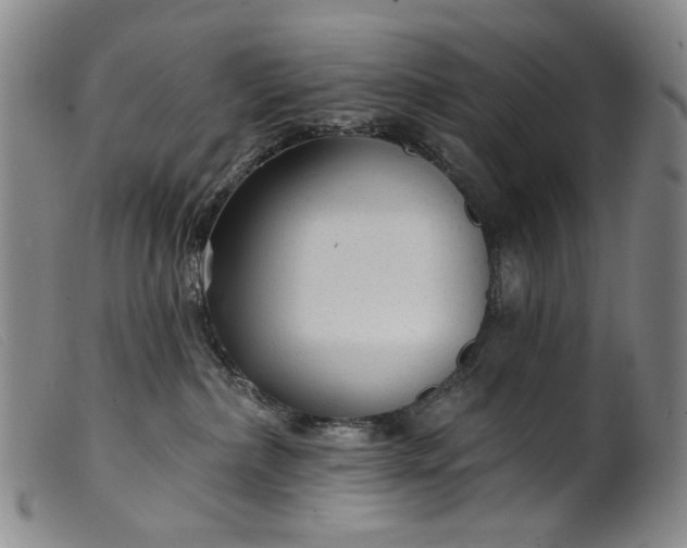 X0000099420236200805231636