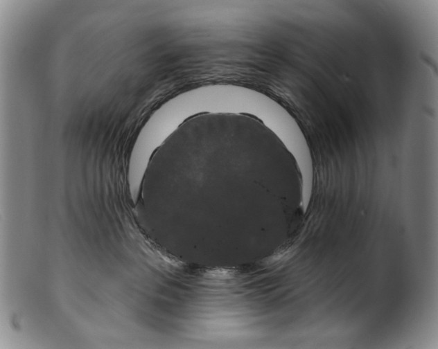 X0000099420237200805231636