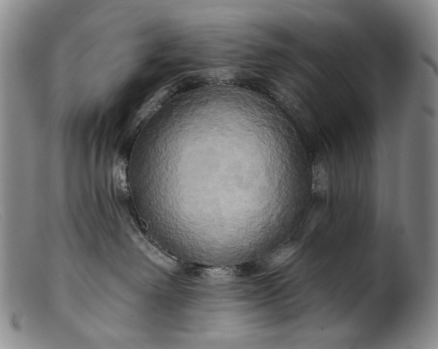 X0000099420238200805231636
