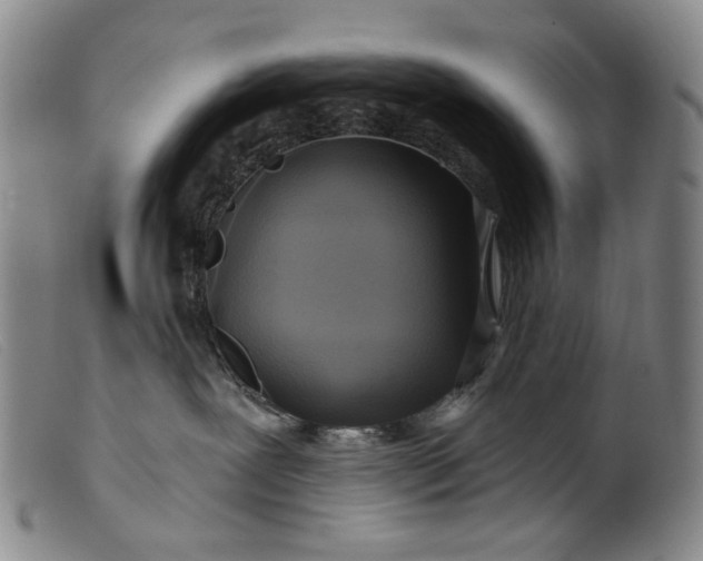 X0000099420239200805231636