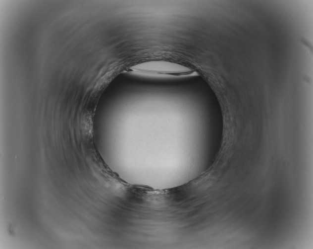 X0000099420240200805231636