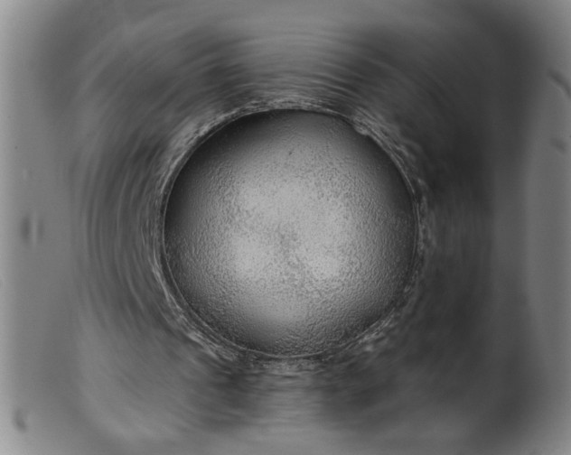 X0000099420241200805231636