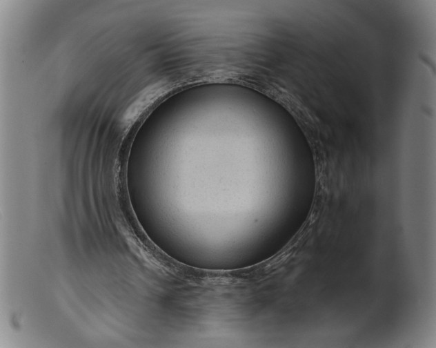 X0000099420242200805231636