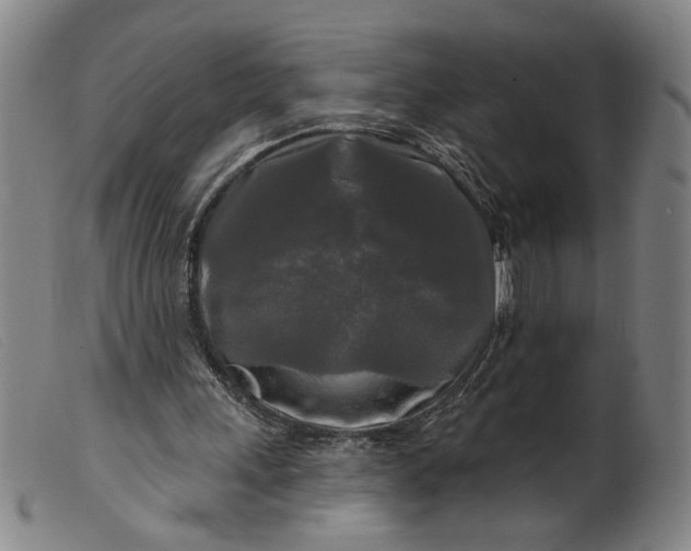 X0000099420243200805231636