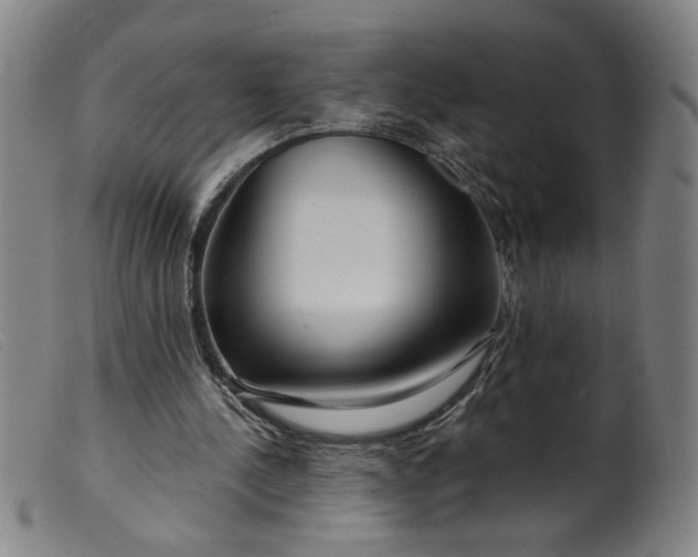 X0000099420244200805231636