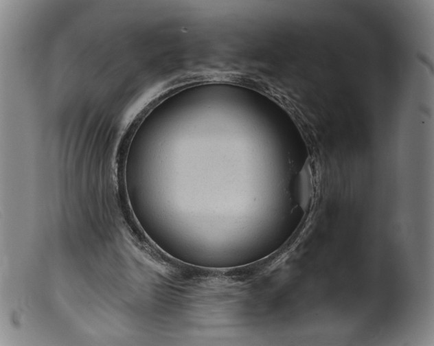 X0000099420246200805231636