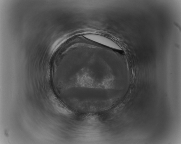X0000099420247200805231636