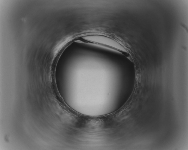 X0000099420248200805231636