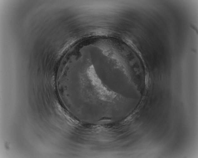 X0000099420249200805231636