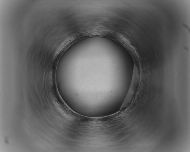 X0000099420250200805231636