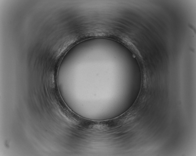 X0000099420251200805231636