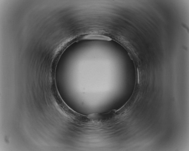 X0000099420252200805231636