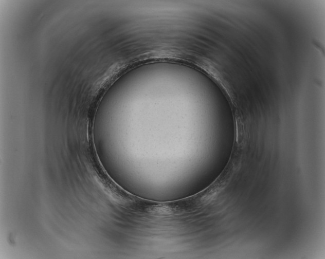X0000099420253200805231636
