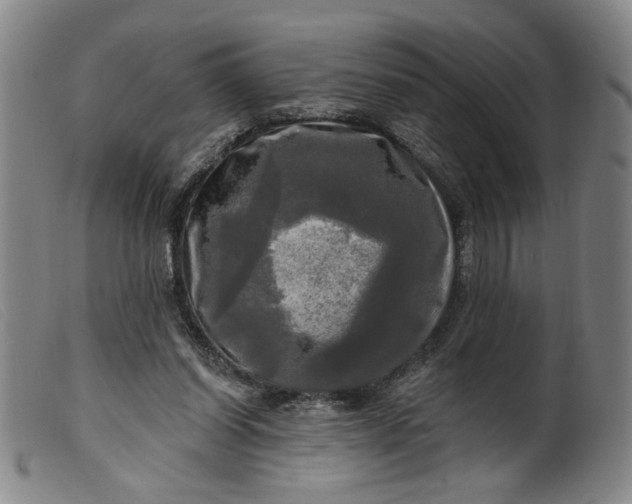X0000099420254200805231636