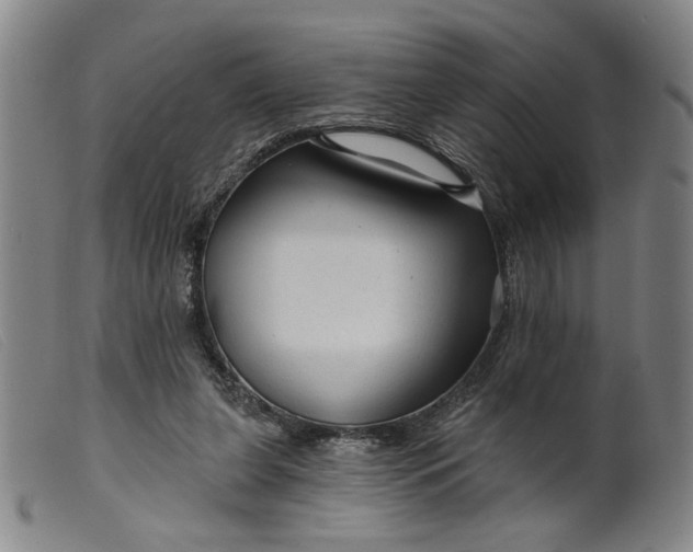 X0000099420255200805231636