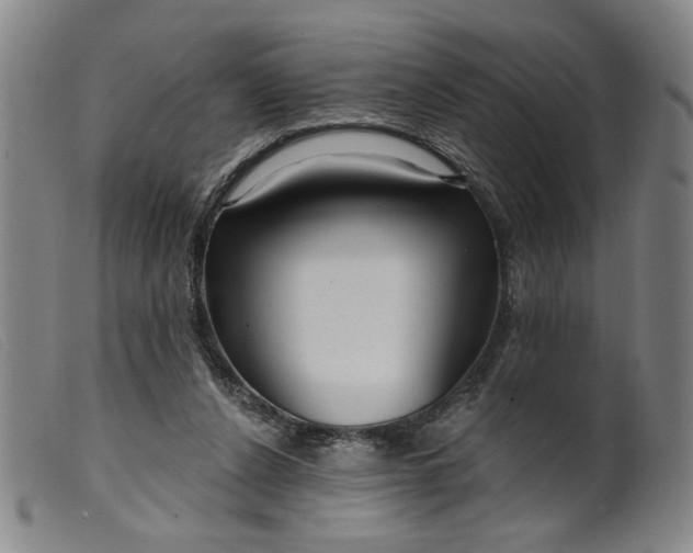 X0000099420256200805231636