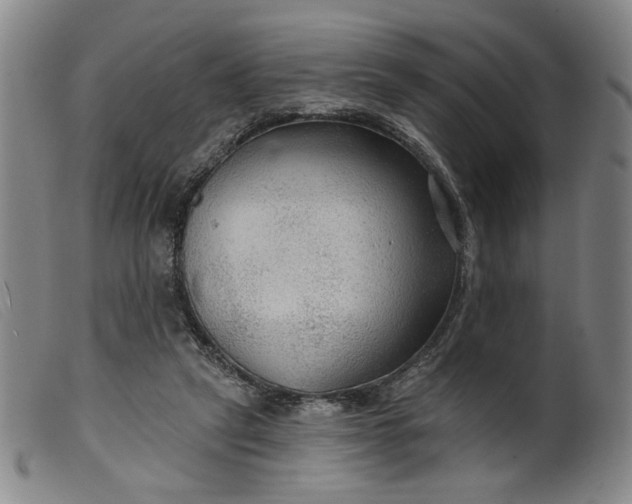 X0000099420257200805231636