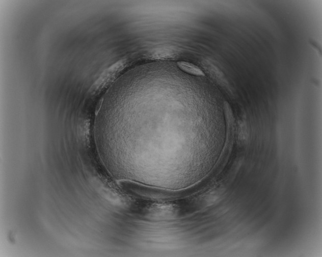 X0000099420260200805231636