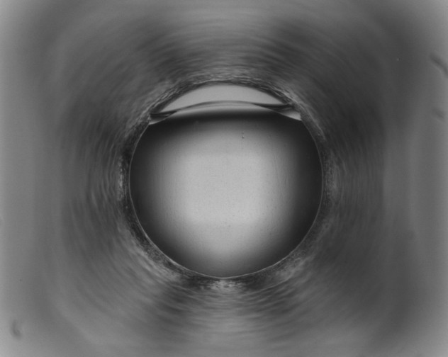 X0000099420261200805231636