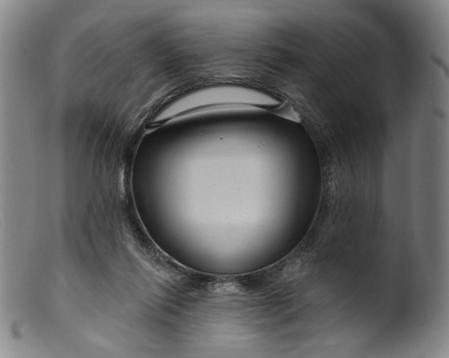 X0000099420262200805231636