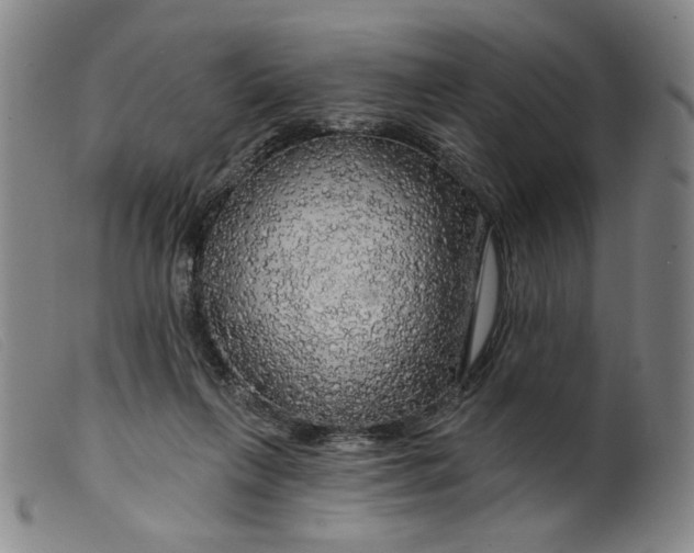 X0000099420263200805231636