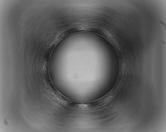 X0000099420265200805231636