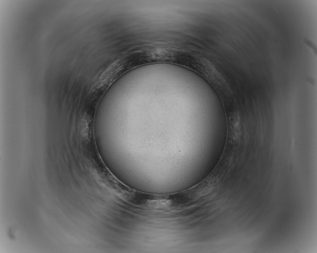 X0000099420266200805231636