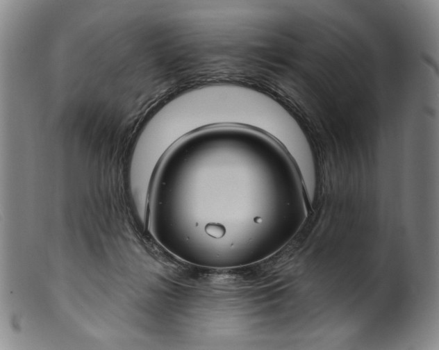 X0000099420268200805231636