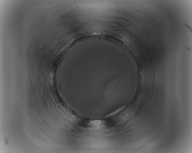 X0000099420269200805231636