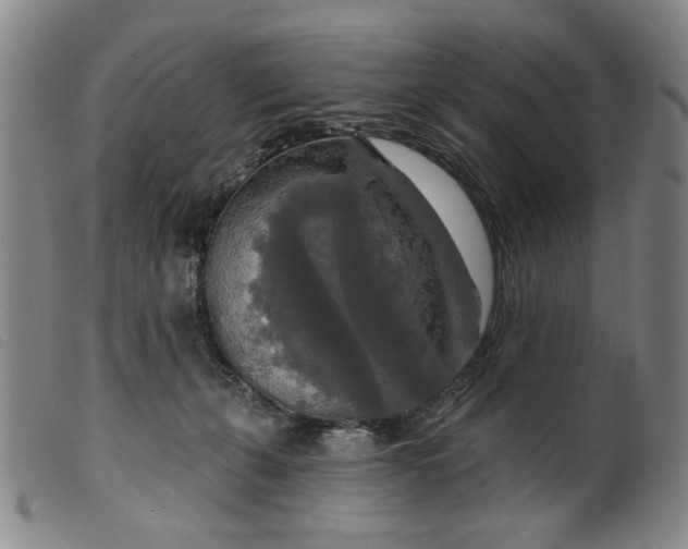 X0000099420271200805231636