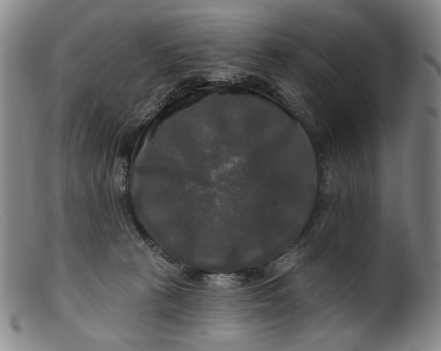 X0000099420273200805231636